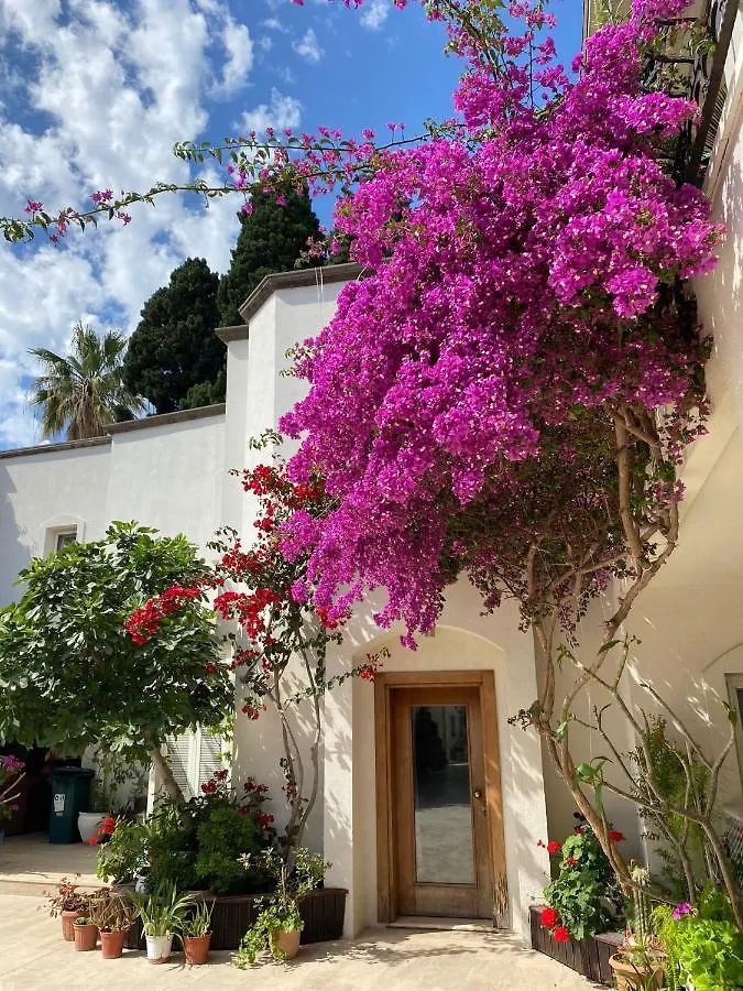 בודרום Karayel Apart Hotel