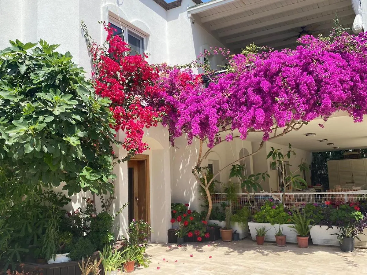 아파트호텔 Karayel Apart Hotel Bodrum